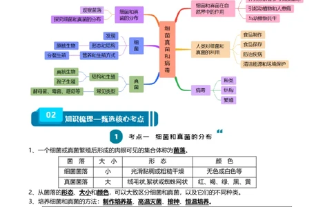 清单10细菌、真菌和病毒（6大考点+2大高频命题点）（学生版）_6生物中考复习_2024年中考复习资料_一轮复习资料_完口袋书2024年中考生物一轮复习知识清单
