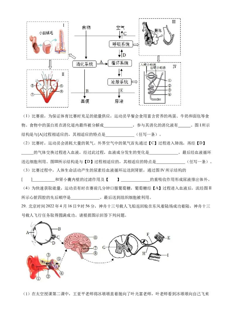 精品解析：2022年山东省临沂市中考生物真题（原卷版）_6生物中考复习_2025中考复习资料_中考真题（近三年）_2022年生物中考真题114份_精品解析：2022年山东省临沂市中考生物真题