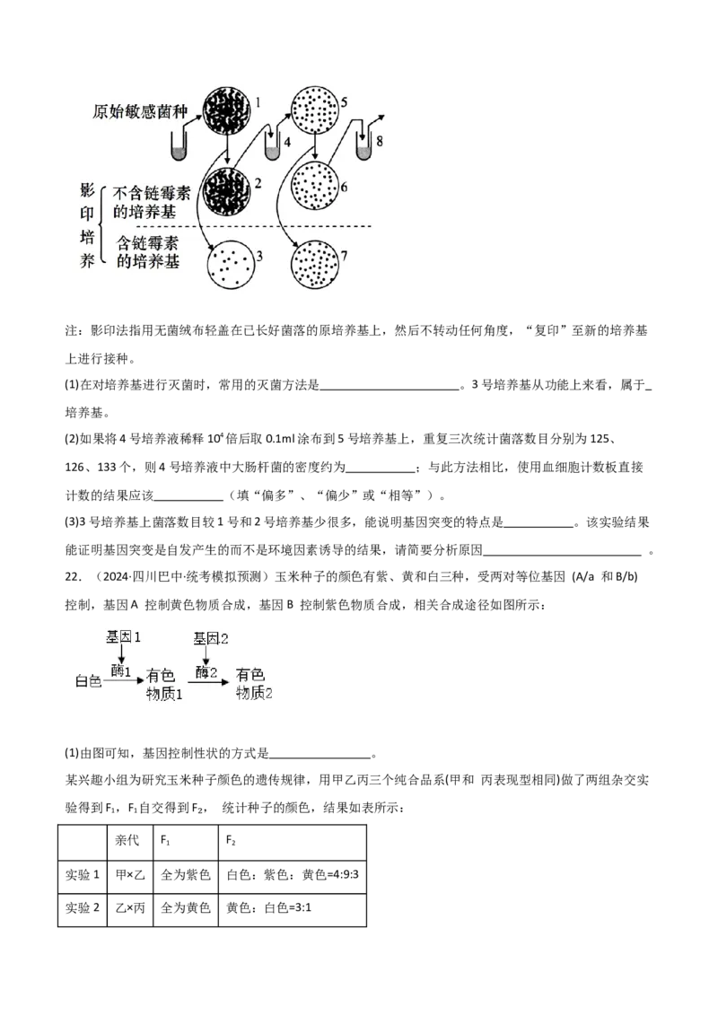 选择性必修3生物技术与工程测试卷（原卷版）_新高考复习资料_2024年新高考复习资料_一轮复习资料_完备战2024年高考生物一轮复习考点帮（新高考）_选择性必修3