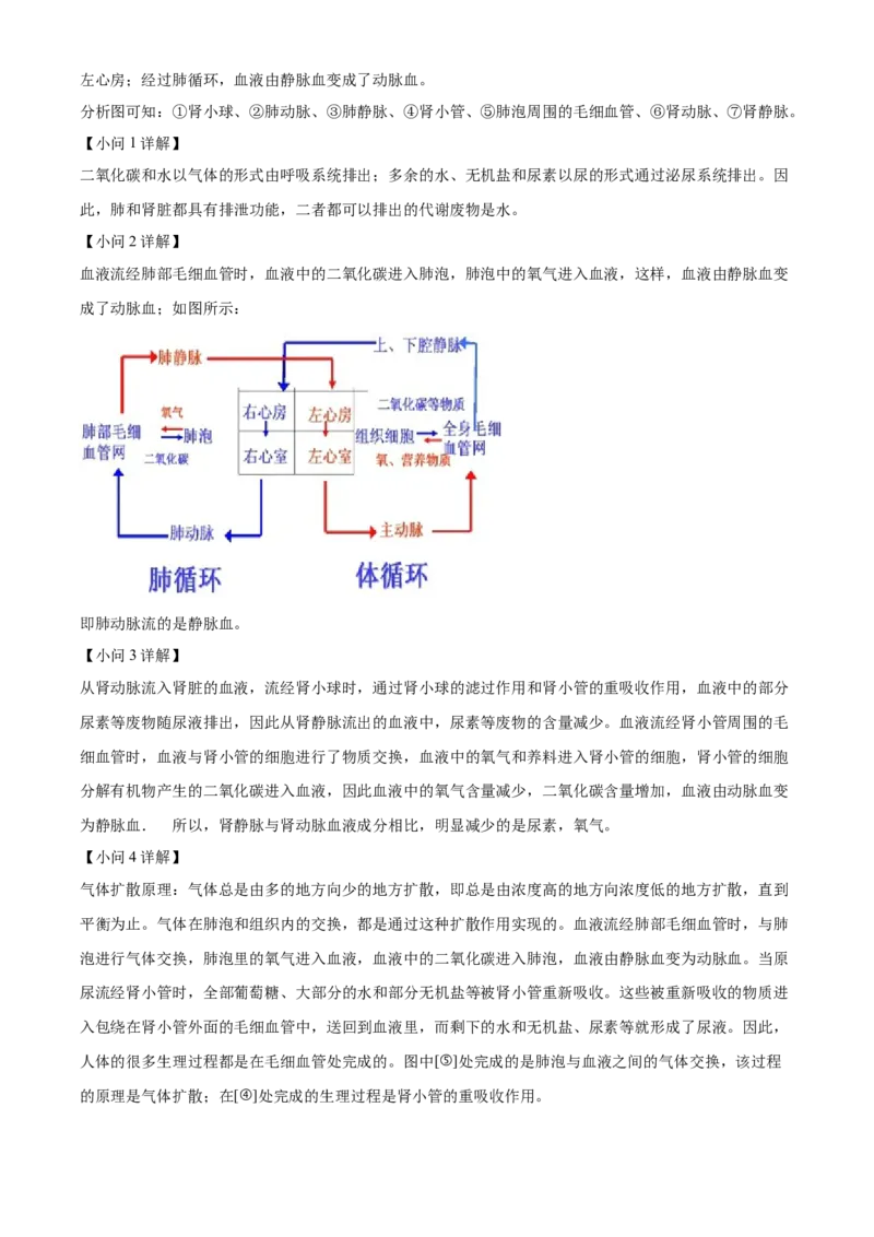 精品解析：2022年山东省德州市中考生物真题（解析版）_6生物中考复习_2025中考复习资料_中考真题（近三年）_2022年生物中考真题114份_精品解析：2022年山东省德州市中考生物真题