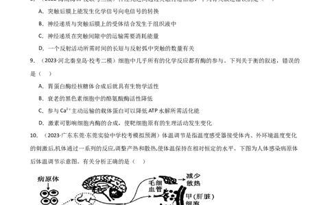 选择性必修1稳态与调节测试卷（原卷版）_新高考复习资料_2024年新高考复习资料_一轮复习资料_完备战2024年高考生物一轮复习考点帮（新高考）_选择性必修1