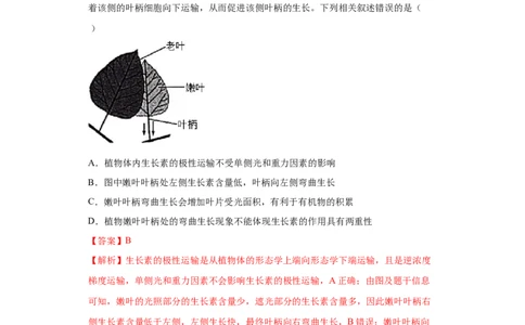课时32生长素的发现及生理作用-2023年高考生物一轮复习小题多维练（解析版）_通用版（老高考）复习资料_2023年复习资料_一轮复习_2023年高考生物一轮复习小题多维练（全国通用）