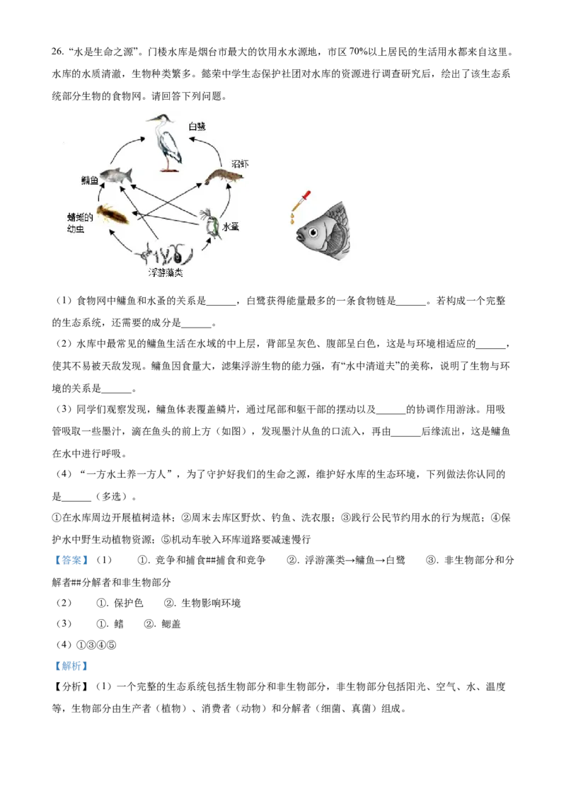 精品解析：2022年山东省烟台中考生物真题（解析版）_6生物中考复习_2025中考复习资料_中考真题（近三年）_2022年生物中考真题114份_精品解析：2022年山东省烟台中考生物真题