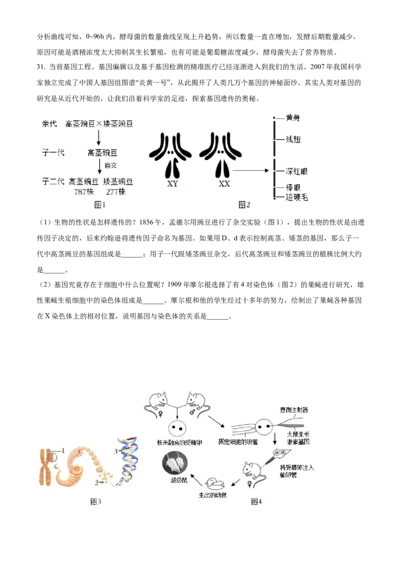 精品解析：2022年山东省烟台中考生物真题（解析版）_6生物中考复习_2025中考复习资料_中考真题（近三年）_2022年生物中考真题114份_精品解析：2022年山东省烟台中考生物真题