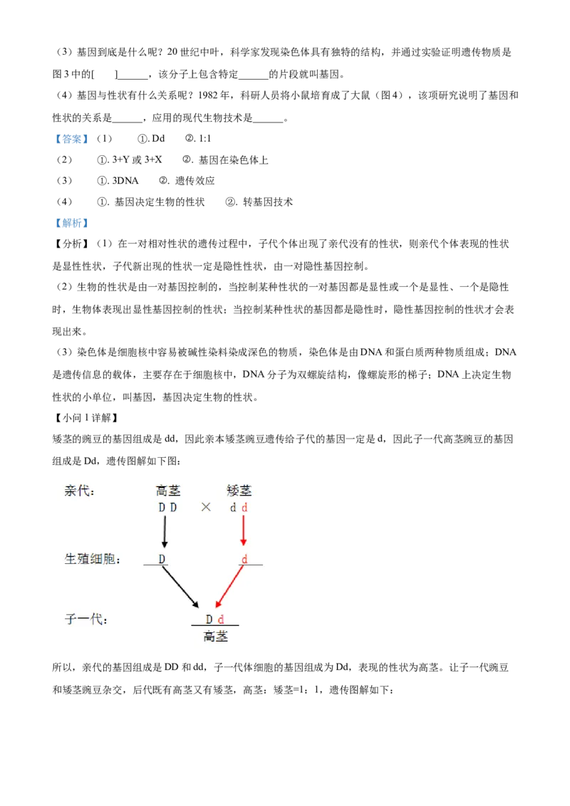 精品解析：2022年山东省烟台中考生物真题（解析版）_6生物中考复习_2025中考复习资料_中考真题（近三年）_2022年生物中考真题114份_精品解析：2022年山东省烟台中考生物真题