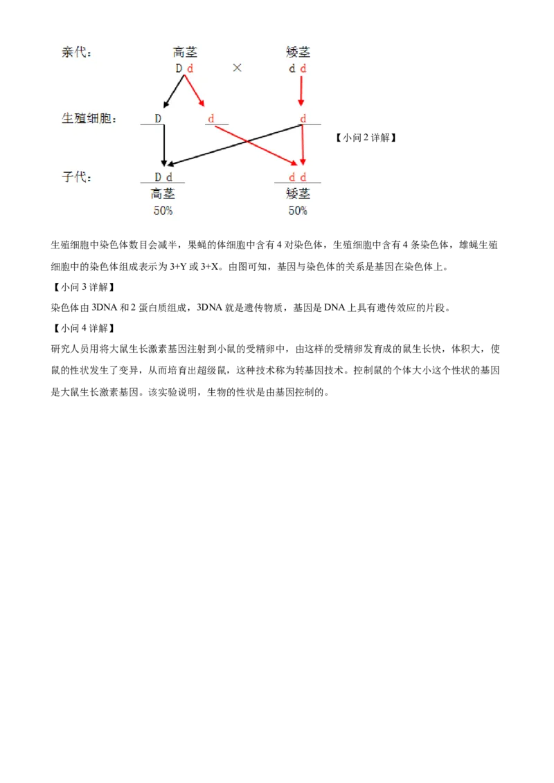 精品解析：2022年山东省烟台中考生物真题（解析版）_6生物中考复习_2025中考复习资料_中考真题（近三年）_2022年生物中考真题114份_精品解析：2022年山东省烟台中考生物真题
