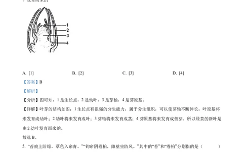 精品解析：2022年山东省烟台中考生物真题（解析版）_6生物中考复习_2025中考复习资料_中考真题（近三年）_2022年生物中考真题114份_精品解析：2022年山东省烟台中考生物真题