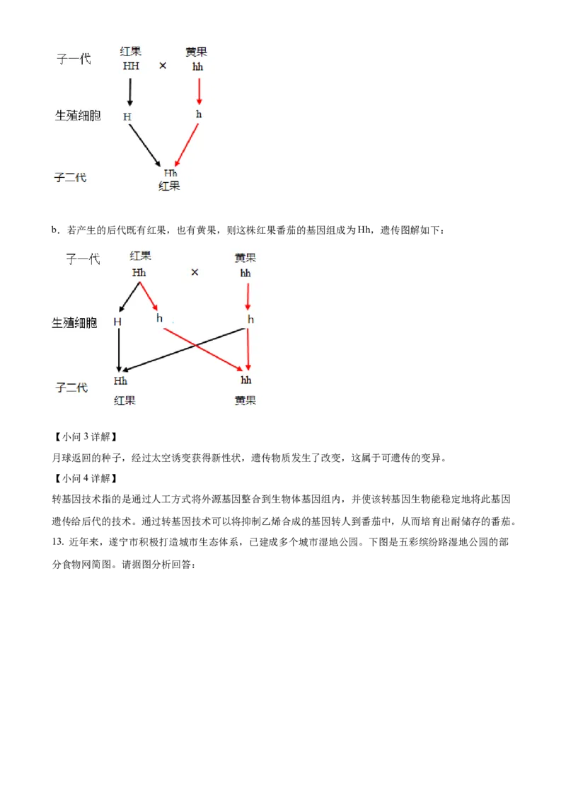 精品解析：2022年四川省遂宁市中考生物真题（解析版）_6生物中考复习_2025中考复习资料_中考真题（近三年）_2022年生物中考真题114份_精品解析：四川省遂宁市2022年中考生物试题