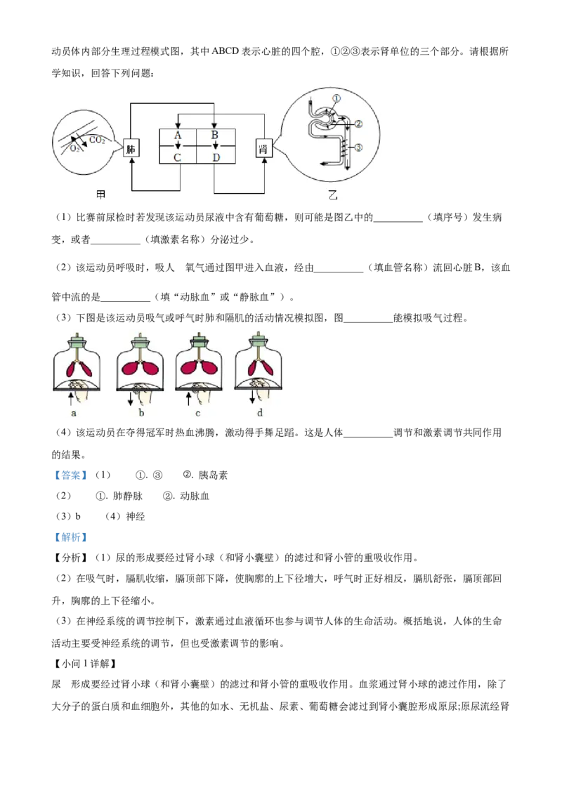 精品解析：2022年四川省遂宁市中考生物真题（解析版）_6生物中考复习_2025中考复习资料_中考真题（近三年）_2022年生物中考真题114份_精品解析：四川省遂宁市2022年中考生物试题