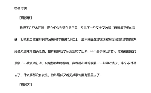 2024年中考九年级语文专题复习：语段阅读(含答案)_中考复习资料_语数英物化_1语文中考复习_2024年中考资料_二轮复习_2024年中考九年级语文二轮专题复习（含答案）