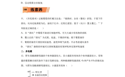 课时08细胞呼吸的类型、过程及影响因素-2023年高考生物一轮复习小题多维练（原卷板）_通用版（老高考）复习资料_2023年复习资料_一轮复习