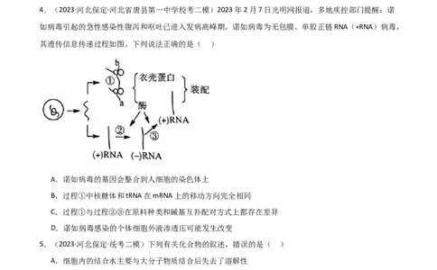选择性必修1稳态与调节测试卷（原卷版）_新高考复习资料_2024年新高考复习资料_❤专项复习资料_完一轮测试备战2024年高考生物按教材测试卷（新教材新高考）