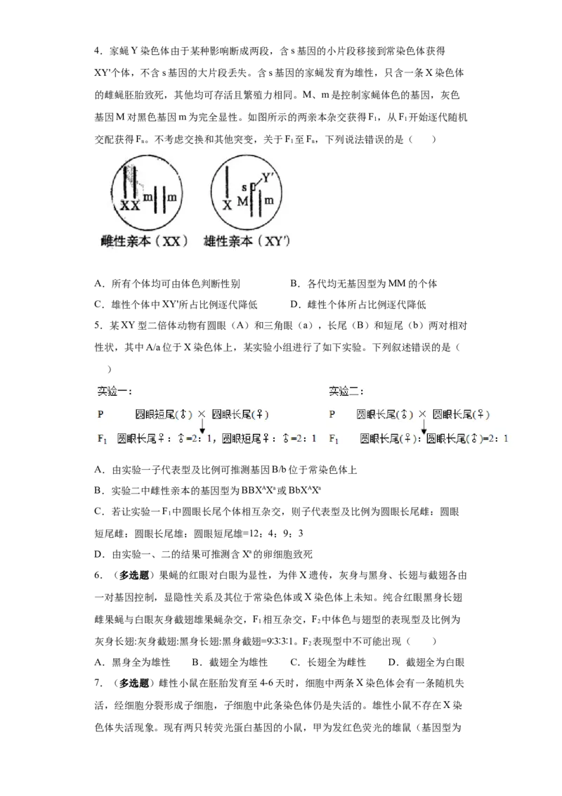 课时20伴性遗传及致死分析-2023年高考生物一轮复习小题多维练（原卷版）_通用版（老高考）复习资料_2023年复习资料_一轮复习_2023年高考生物一轮复习小题多维练（全国通用）