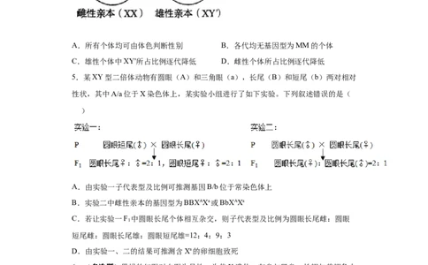 课时20伴性遗传及致死分析-2023年高考生物一轮复习小题多维练（原卷版）_通用版（老高考）复习资料_2023年复习资料_一轮复习_2023年高考生物一轮复习小题多维练（全国通用）