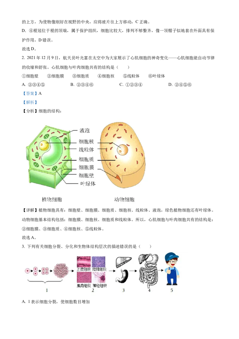 精品解析：2022年山东省菏泽市中考生物真题（解析版）_6生物中考复习_2025中考复习资料_中考真题（近三年）_2022年生物中考真题114份_精品解析：2022年山东省菏泽市中考生物真题