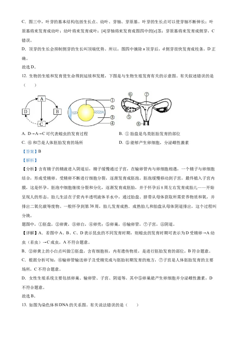 精品解析：2022年山东省菏泽市中考生物真题（解析版）_6生物中考复习_2025中考复习资料_中考真题（近三年）_2022年生物中考真题114份_精品解析：2022年山东省菏泽市中考生物真题