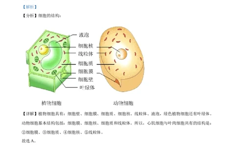 精品解析：2022年山东省菏泽市中考生物真题（解析版）_6生物中考复习_2025中考复习资料_中考真题（近三年）_2022年生物中考真题114份_精品解析：2022年山东省菏泽市中考生物真题