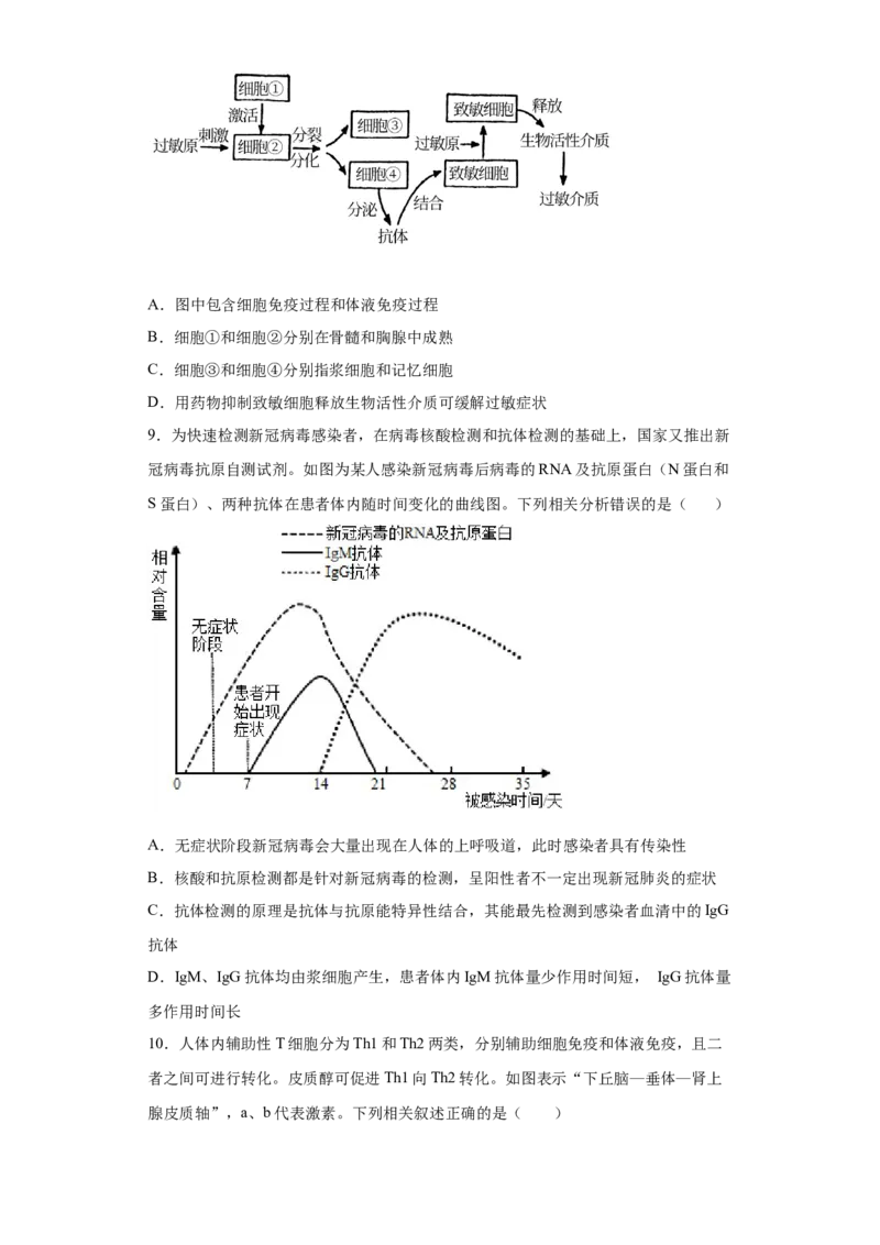 课时31免疫系统及免疫功能异常分析-2023年高考生物一轮复习小题多维练（原卷版）_通用版（老高考）复习资料_2023年复习资料_一轮复习_2023年高考生物一轮复习小题多维练（全国通用）