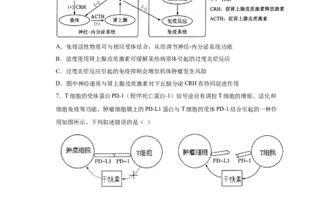 课时31免疫系统及免疫功能异常分析-2023年高考生物一轮复习小题多维练（原卷版）_通用版（老高考）复习资料_2023年复习资料_一轮复习_2023年高考生物一轮复习小题多维练（全国通用）