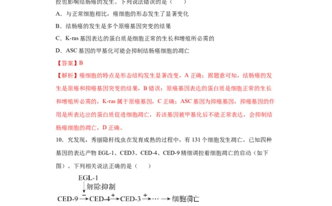 课时13细胞的分化、衰老、凋亡和癌变-2023年高考生物一轮复习小题多维练（解析版）_通用版（老高考）复习资料_2023年复习资料_一轮复习_2023年高考生物一轮复习小题多维练（全国通用）