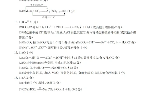 贵州省织金一中2025-2026学年高一11月月考（25-114A）化学答案_2025年11月高一试卷_251118金太阳&middot;贵州省织金一中2025-2026学年高一11月月考（25-114A）（全）