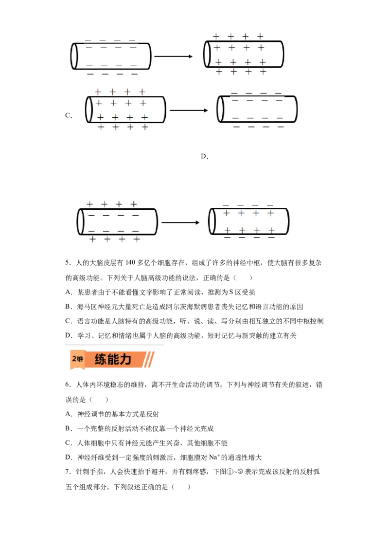 课时28神经调节-2023年高考生物一轮复习小题多维练（原卷版）_通用版（老高考）复习资料_2023年复习资料_一轮复习_2023年高考生物一轮复习小题多维练（全国通用）