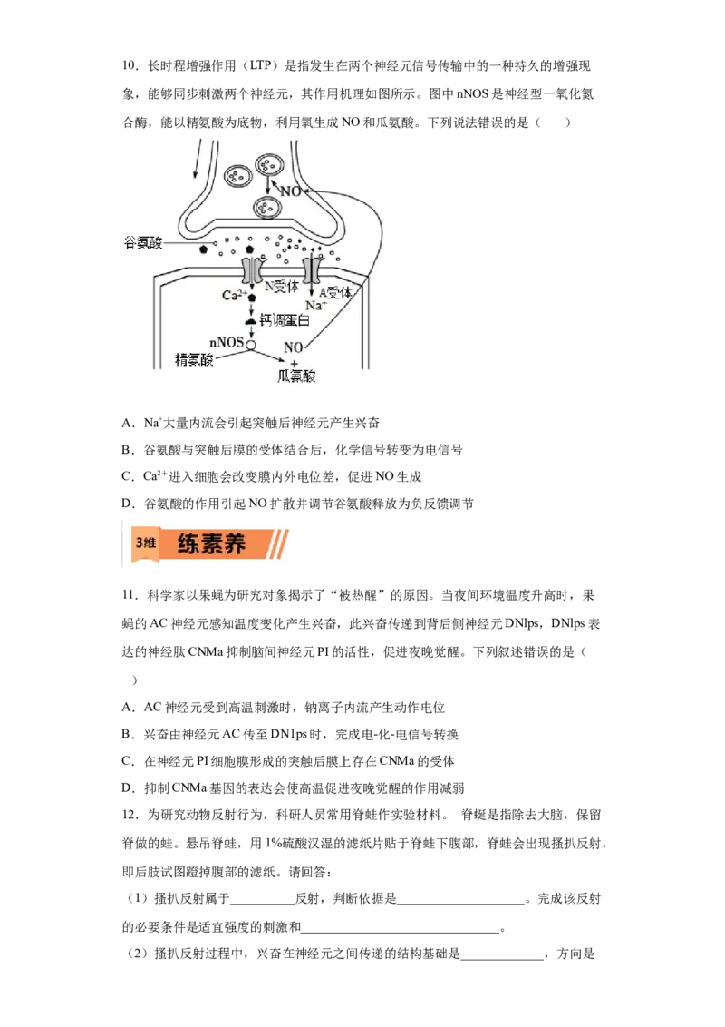 课时28神经调节-2023年高考生物一轮复习小题多维练（原卷版）_通用版（老高考）复习资料_2023年复习资料_一轮复习_2023年高考生物一轮复习小题多维练（全国通用）