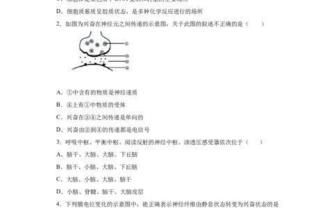 课时28神经调节-2023年高考生物一轮复习小题多维练（原卷版）_通用版（老高考）复习资料_2023年复习资料_一轮复习_2023年高考生物一轮复习小题多维练（全国通用）