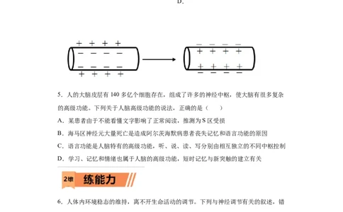 课时28神经调节-2023年高考生物一轮复习小题多维练（原卷版）_通用版（老高考）复习资料_2023年复习资料_一轮复习_2023年高考生物一轮复习小题多维练（全国通用）