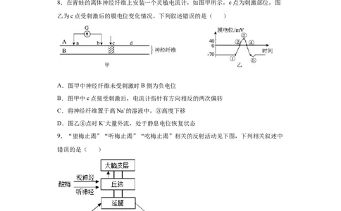 课时28神经调节-2023年高考生物一轮复习小题多维练（原卷版）_通用版（老高考）复习资料_2023年复习资料_一轮复习_2023年高考生物一轮复习小题多维练（全国通用）
