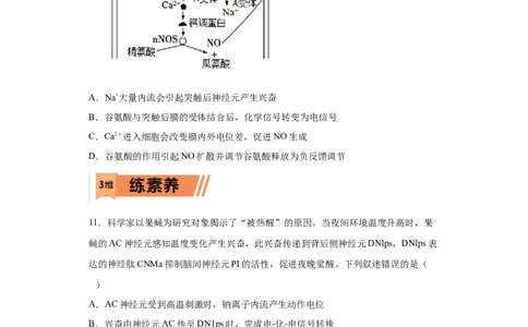 课时28神经调节-2023年高考生物一轮复习小题多维练（原卷版）_通用版（老高考）复习资料_2023年复习资料_一轮复习_2023年高考生物一轮复习小题多维练（全国通用）