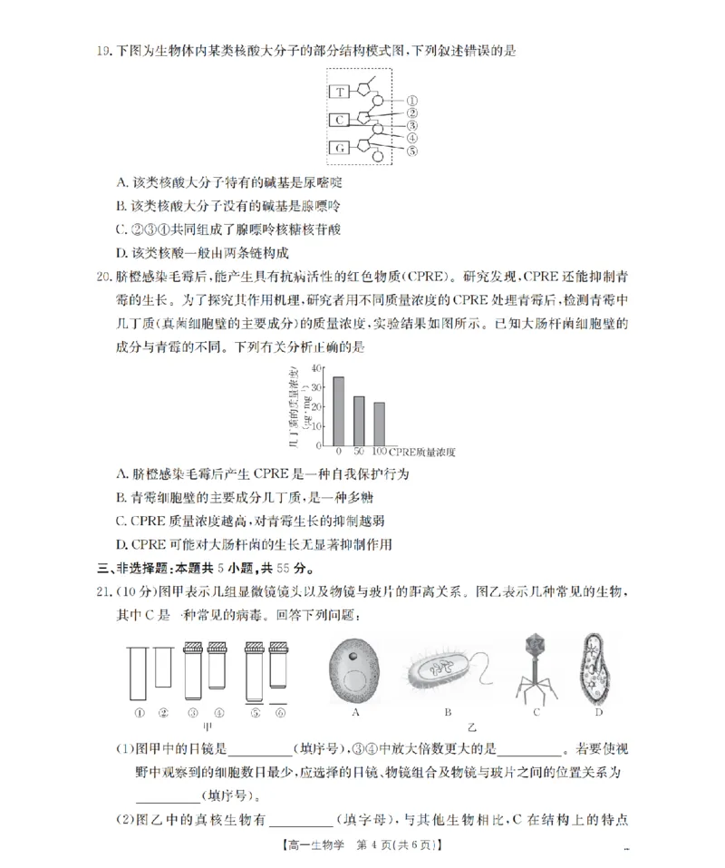 辽宁省葫芦岛市、县协作校2025-2026学年高一上学期第一次考试（26-71A）生物_2025年11月高一试卷_251116金太阳&middot;辽宁省葫芦岛市、县协作校2025-2026学年高一上学期第一次考试（26-71A）（全）