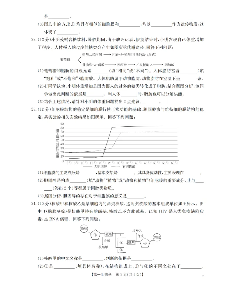 辽宁省葫芦岛市、县协作校2025-2026学年高一上学期第一次考试（26-71A）生物_2025年11月高一试卷_251116金太阳&middot;辽宁省葫芦岛市、县协作校2025-2026学年高一上学期第一次考试（26-71A）（全）