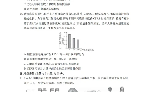 辽宁省葫芦岛市、县协作校2025-2026学年高一上学期第一次考试（26-71A）生物_2025年11月高一试卷_251116金太阳&middot;辽宁省葫芦岛市、县协作校2025-2026学年高一上学期第一次考试（26-71A）（全）