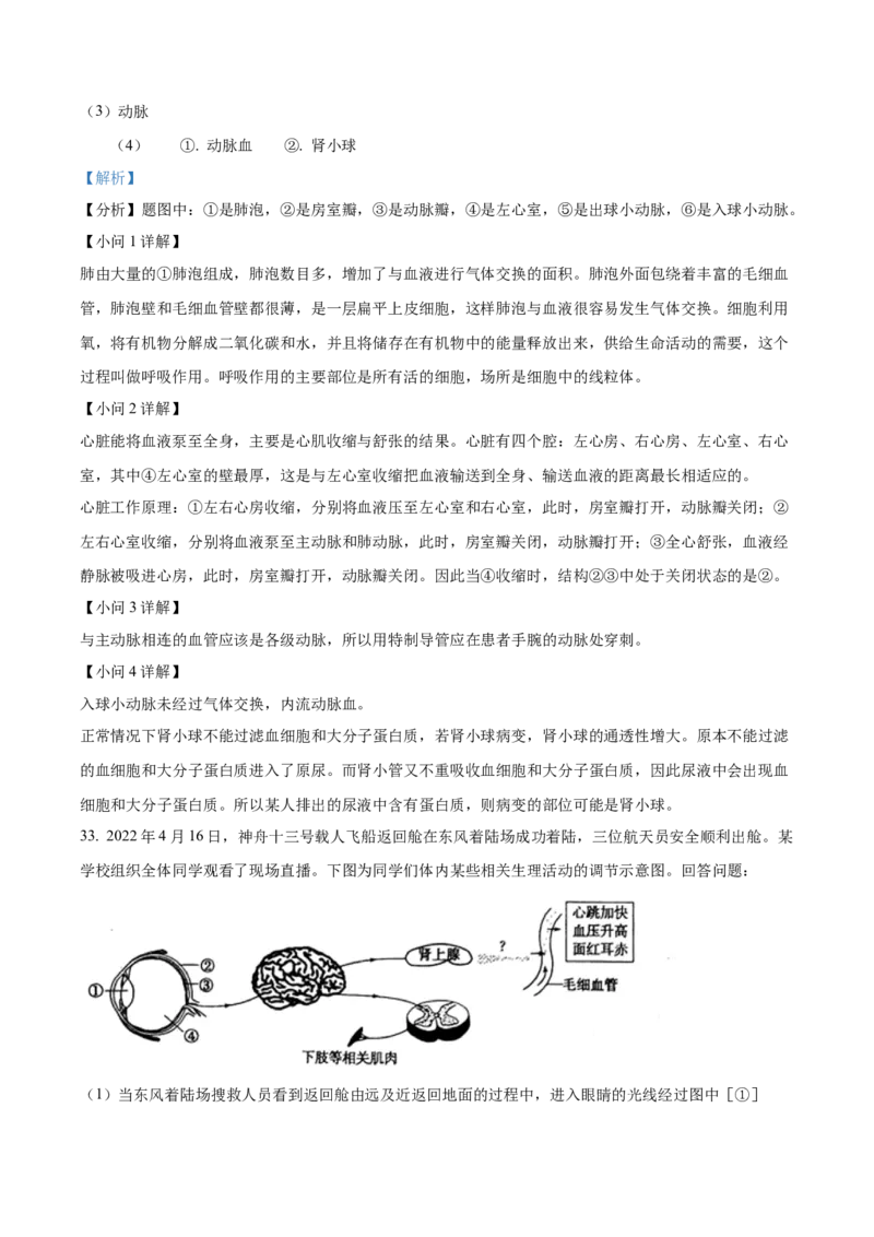 精品解析：2022年山东省日照市中考生物真题（解析版）_6生物中考复习_2025中考复习资料_中考真题（近三年）_2022年生物中考真题114份_精品解析：2022年山东省日照市中考生物真题