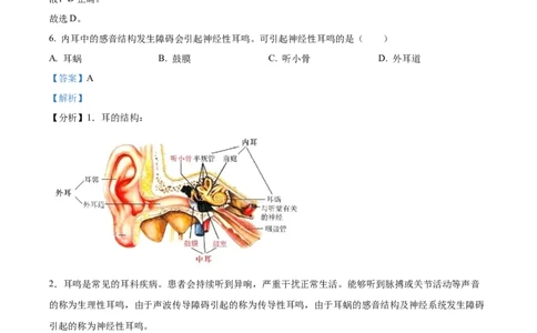 精品解析：2022年山东省日照市中考生物真题（解析版）_6生物中考复习_2025中考复习资料_中考真题（近三年）_2022年生物中考真题114份_精品解析：2022年山东省日照市中考生物真题