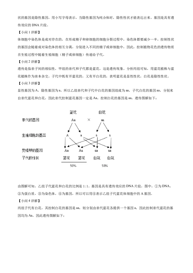 精品解析：2022年四川省德阳市中考生物真题（解析版）_6生物中考复习_2025中考复习资料_中考真题（近三年）_2022年生物中考真题114份_精品解析：2022年四川省德阳市中考生物真题