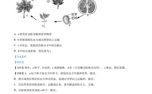 精品解析：2022年四川省德阳市中考生物真题（解析版）_6生物中考复习_2025中考复习资料_中考真题（近三年）_2022年生物中考真题114份_精品解析：2022年四川省德阳市中考生物真题
