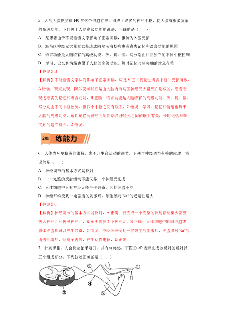 课时28神经调节-2023年高考生物一轮复习小题多维练（解析版）_通用版（老高考）复习资料_2023年复习资料_一轮复习_2023年高考生物一轮复习小题多维练（全国通用）