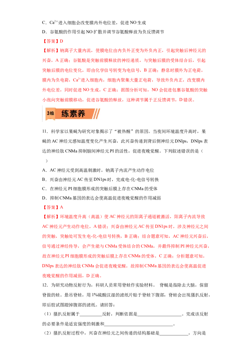 课时28神经调节-2023年高考生物一轮复习小题多维练（解析版）_通用版（老高考）复习资料_2023年复习资料_一轮复习_2023年高考生物一轮复习小题多维练（全国通用）