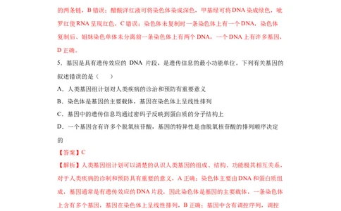 课时15DNA分子的结构、复制与基因的本质-2023年高考生物一轮复习小题多维练（解析版）_通用版（老高考）复习资料_2023年复习资料_一轮复习