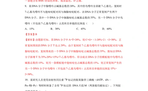 课时15DNA分子的结构、复制与基因的本质-2023年高考生物一轮复习小题多维练（解析版）_通用版（老高考）复习资料_2023年复习资料_一轮复习