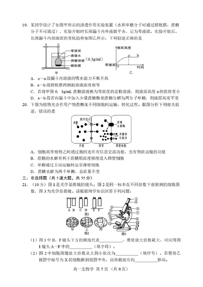 辽宁省丹东市2025-2026学年高一上学期教学质量调研测试生物试卷_2025年12月高一试卷_251217辽宁省丹东市2025-2026学年高一上学期教学质量调研测试（全）