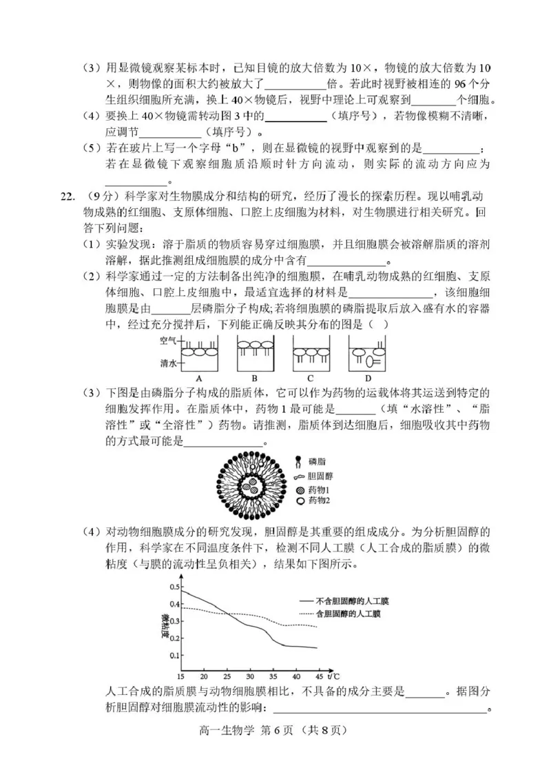 辽宁省丹东市2025-2026学年高一上学期教学质量调研测试生物试卷_2025年12月高一试卷_251217辽宁省丹东市2025-2026学年高一上学期教学质量调研测试（全）