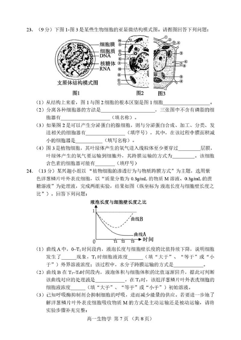 辽宁省丹东市2025-2026学年高一上学期教学质量调研测试生物试卷_2025年12月高一试卷_251217辽宁省丹东市2025-2026学年高一上学期教学质量调研测试（全）