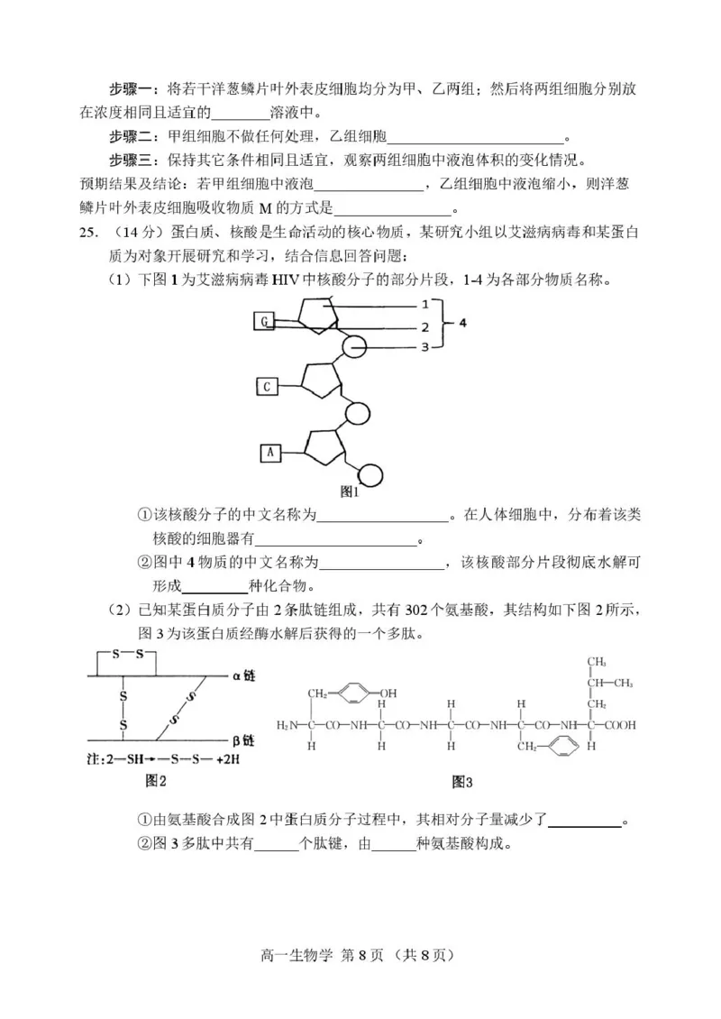 辽宁省丹东市2025-2026学年高一上学期教学质量调研测试生物试卷_2025年12月高一试卷_251217辽宁省丹东市2025-2026学年高一上学期教学质量调研测试（全）