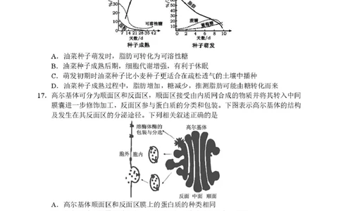 辽宁省丹东市2025-2026学年高一上学期教学质量调研测试生物试卷_2025年12月高一试卷_251217辽宁省丹东市2025-2026学年高一上学期教学质量调研测试（全）