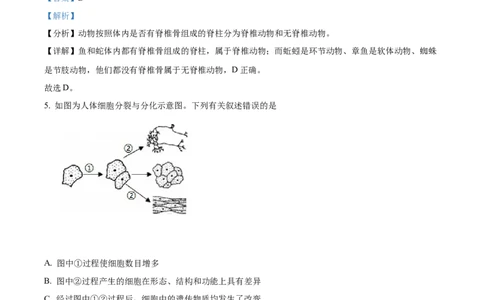 精品解析：2022年四川省广安市中考生物真题（解析版）_6生物中考复习_2025中考复习资料_中考真题（近三年）_2022年生物中考真题114份_精品解析：2022年四川省广安市中考生物真题