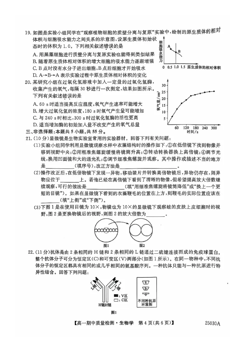 辽宁省锦州市某校2024-2025学年高一上学期期中质量检测生物试卷_2024年12月试卷_1202辽宁省锦州市某校2024-2025学年高一上学期期中质量检测