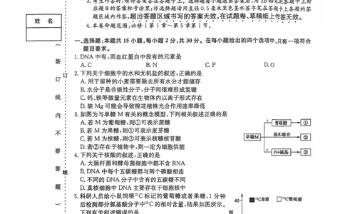 辽宁省锦州市某校2024-2025学年高一上学期期中质量检测生物试卷_2024年12月试卷_1202辽宁省锦州市某校2024-2025学年高一上学期期中质量检测
